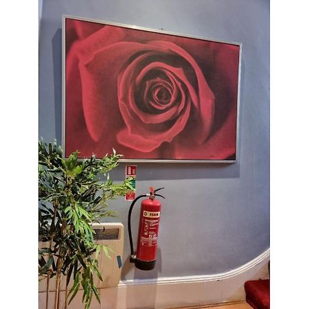 Apartament F101-First Floor Flat Fits 3 Near Hyde Park Londyn Zewnętrze zdjęcie